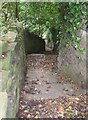 Steps on footpath, Sutcliffe Wood, Brighouse in HD6 2PA