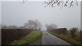 A foggy country lane in CV13 6JZ