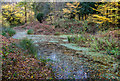 Camlet Moat, Trent Park in Autumn in EN4 0ES