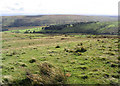 Rough grazing on Naze Hill in DG13 0LP