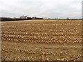 Field of stubble, north of the A372 in TA11 7LL