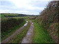 Bridleway to Tiscott in EX23 9HE