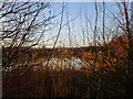 Lagoon through the branches in NG14 7JX