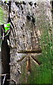 Benchmark on wooden gatepost in Howes Lane hedge in OX26 2NJ