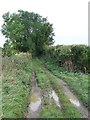 Muddy Track in CB11 4RT