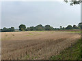 Stubble field north of Bury Lodge Lane in CM24 1RT