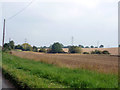 Farmland south of Little Henham in CM22 6JE