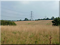 Power line across farmland in CM22 6JE