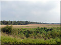 Farmland and woods east of Little Henham Hall in CB11 3XR
