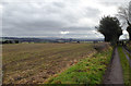 Crop fields north of Wombourne, Staffordshire in WV5 9AR