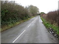 Hedge lined lane from Bethel to Bodorgan Station in LL62 5NL