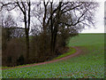 Woodland and crop field near Wombourne, Staffordshire in WV5 9AR