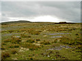 The barren top with the occasional huddle of peat that has somehow escaped erosion in CA17 4JT