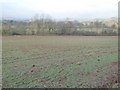 Farmland near Little Radford Farm in B48 7AZ
