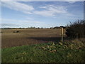 Footpath from Sutton Cheney to Market Bosworth in CV13 0BD