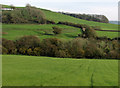 Countryside east of Chilcombe in DT6 4NF