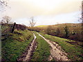 Llwybr Pant Arfon / Pant Arfon Path in SA32 8SL