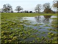 Waterlogged farmland in B48 7AY