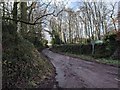 Lane heading towards Crediton, up Pounds Hill in EX17 4AA