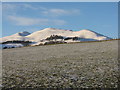 Frozen pasture, Castlelaw in EH26 0PW