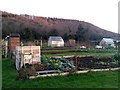 Tudorville allotments in HR9 5JB