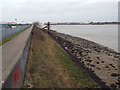 River Thames and Thames Path at Jenningtree Point, near Belvedere in RM13 8EN