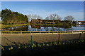 Fishing lake at Thoresby Bridge in DN36 5TY