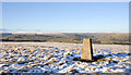 Trig point on Carrs Top in DL13 2LJ