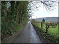The lower lane in Dollwen in SY23 3PA