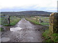 Bridleway to Weston Big Wood in BS20 7RF