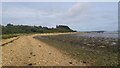 Beach below Ham Common, Poole Harbour in BH15 4LT