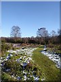 Path on Headley Heath, late December in KT18 6NR