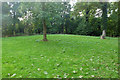 Levelled remains of tumulus, Bartlow Hills in CB21 4EN