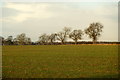 Fields near Samuelston in EH34 5BQ