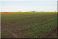 Farmland near Haddenham in OX9 3RX
