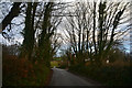 East Devon : Country Lane in EX12 3LL