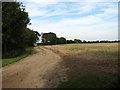 Footpath and track to Happisburgh Common in NR12 9HB