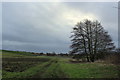 Field Track leading off Maunby Lane in DL7 9EY