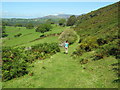 Footpath near Bron-y-foel in LL49 9YW