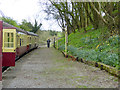 Train at Mendip Vale station in BA4 4PP