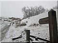 Public footpath off the Grizedale Valley in CA11 0FJ