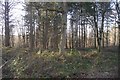 Wyre Forest:New Parks in DY14 9UU