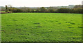 Grass field near Four Meads Farm in DT2 9DH