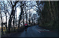 Cyclist on the Exe Valley road, near Cowridge Bottom, heading north in TA22 9BG
