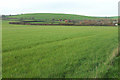 Farmland southwest of Litton Cheney in DT2 9AN