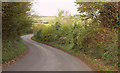 Lane from St Catherine's Cross in DT6 4NQ