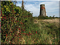 View towards windmill along hedgerow in NR12 9TD