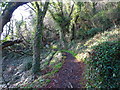 Path through the Woods in TQ1 2PW