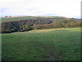 Cae Porfa ger Digoed / Grazing Field near Digoed in Llansantffraed Community