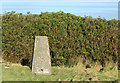 Trig Point at Tor of Craigoch in DG9 0RH